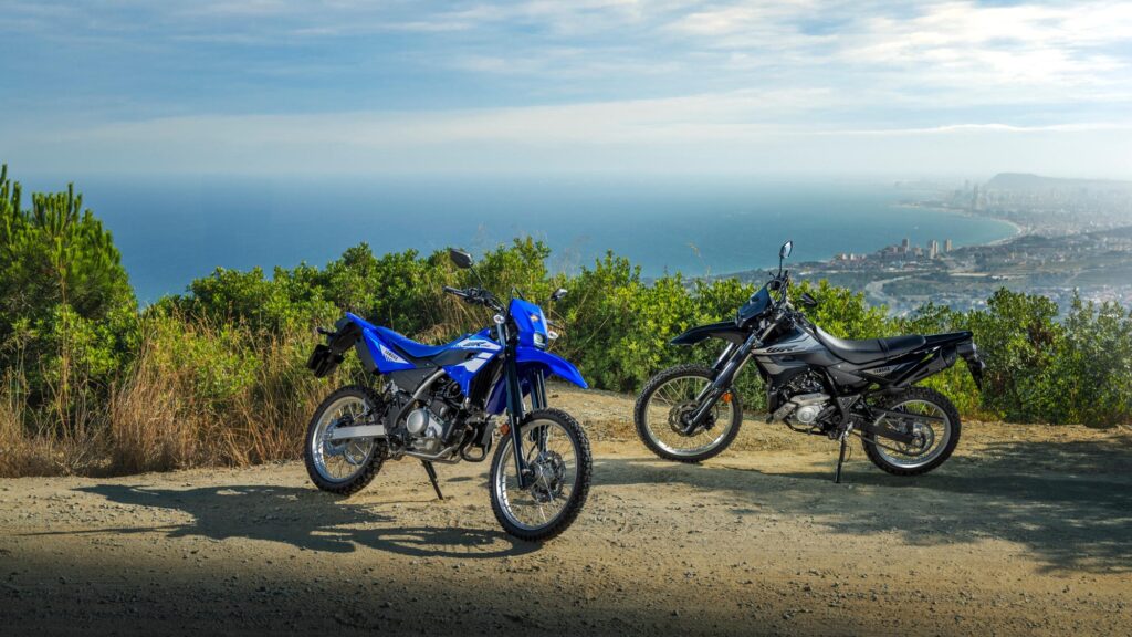 Yamaha WR125R: Posición flexible