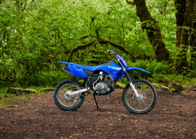 Yamaha TT-R110E 6