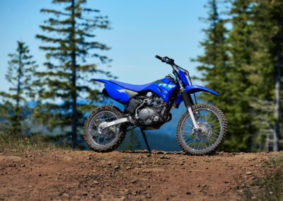 Yamaha TT-R110E 7