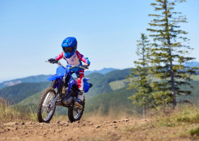 Yamaha TT-R125LWE 9