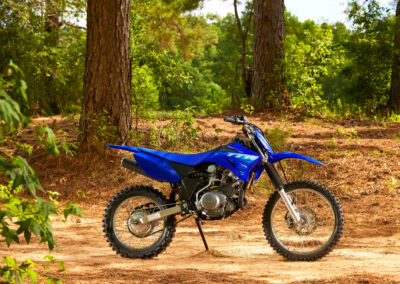 Yamaha TT-R125LWE 5