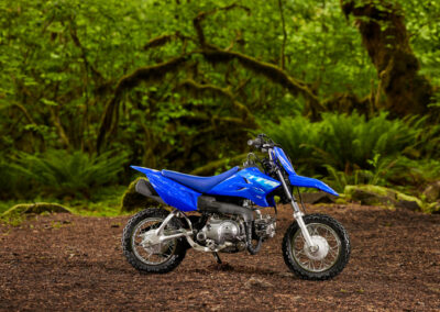 Yamaha TT-R50E 4