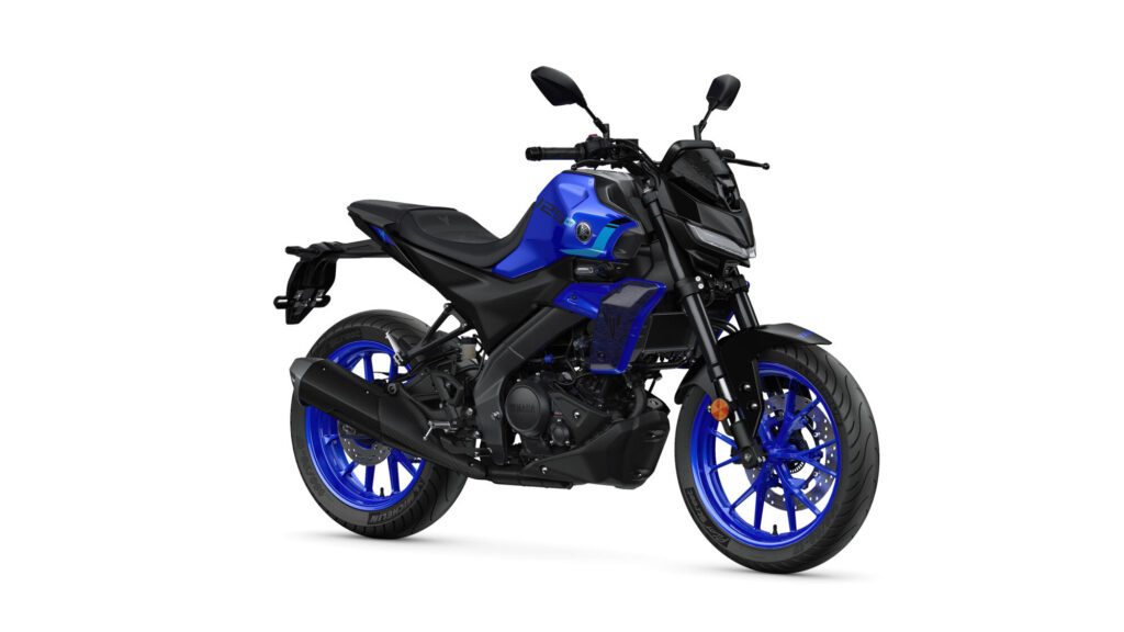 Yamaha MT-125: 125 cc con sistema VVA